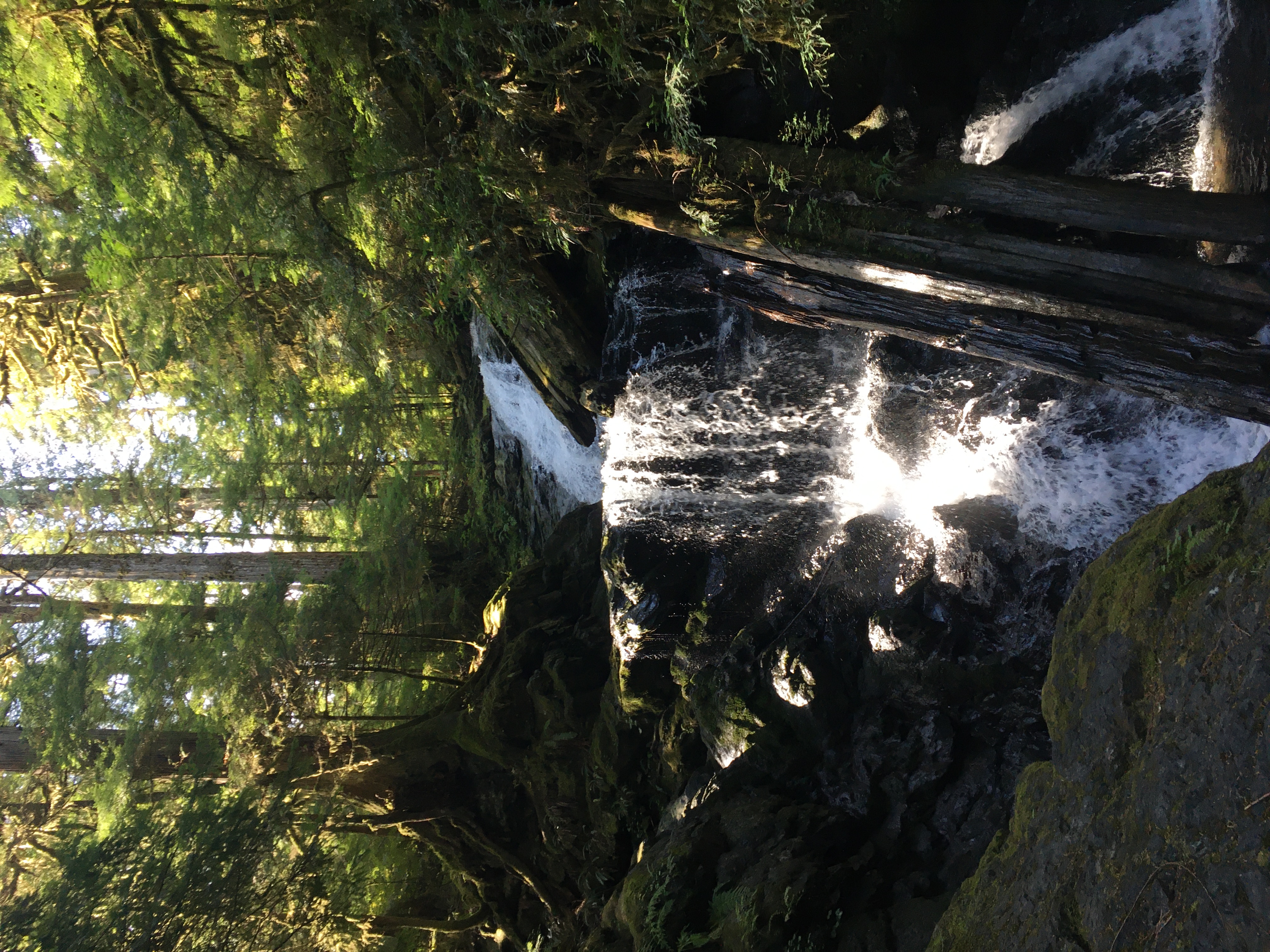 A small waterfall in several stages in a shady forest
